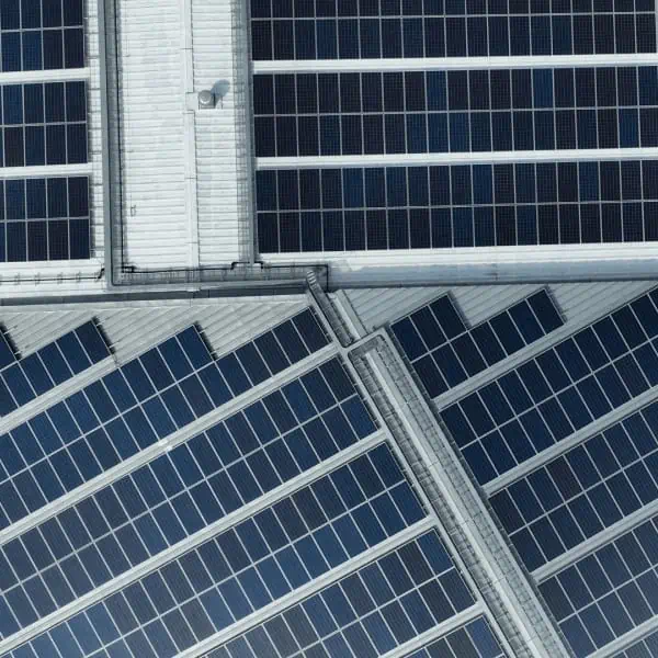 Data-Driven Transformation: Utility-Scale Solar Development in the Digital Age